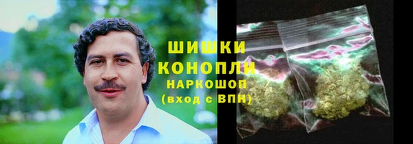 spice Аркадак