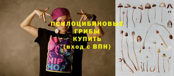 прущая мука Арсеньев
