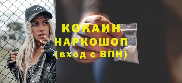 spice Аркадак