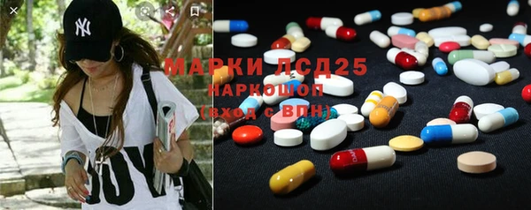 spice Аркадак