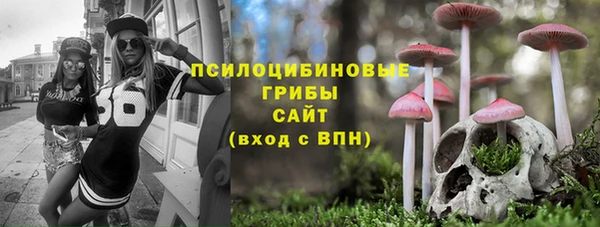 spice Аркадак