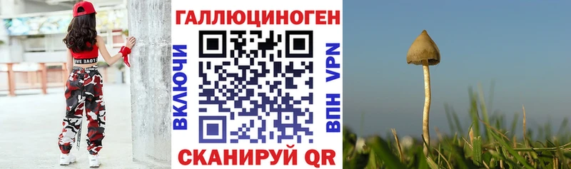 Псилоцибиновые грибы мицелий  Купить закладки  Полярный 